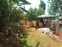 Mwangi I.