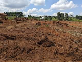 A picture of Kasanje Buwaya Estate