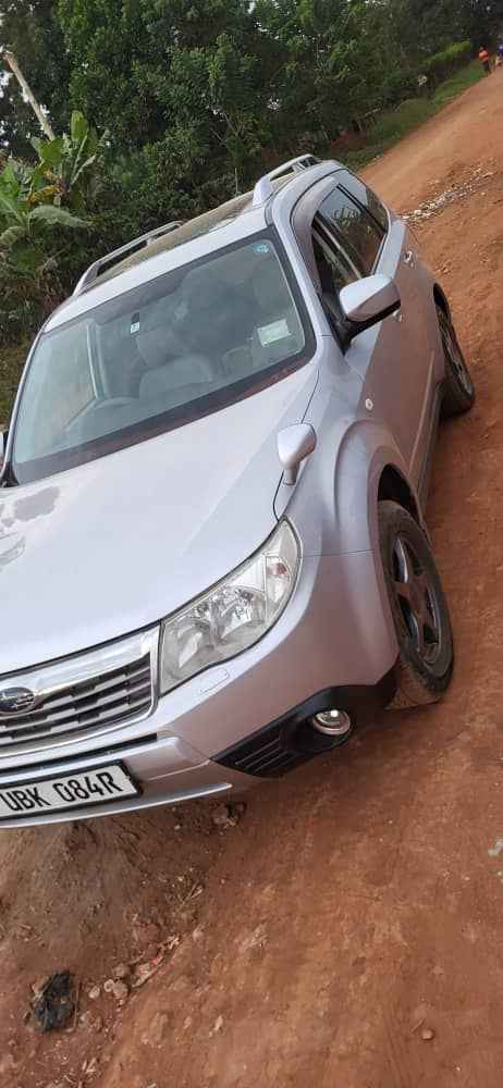 A picture of Subaru Forester