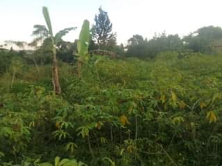 A picture of 180ft by 90ft plot on quick sale by owner in
