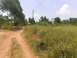 A picture of MATUGGA KITANDA KILYAMULI PLOT FOR SALE 0703900684 100 by 50ft