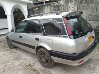 A picture of Carib