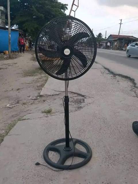fans