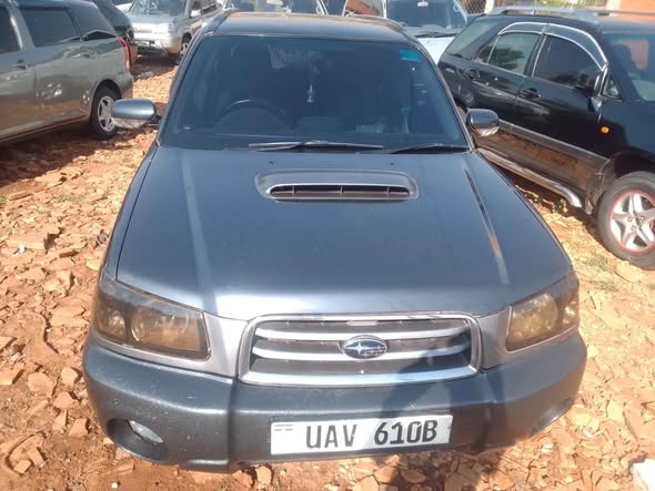 subaru forester