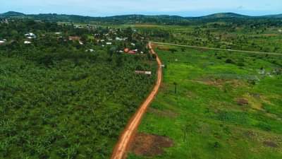 houses hoima