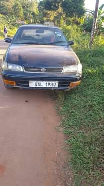 A picture of 1997 Toyata TOYOTA COROLLA Single light
