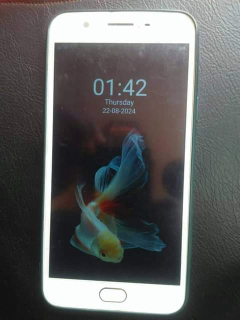 A picture of OPPO F1s