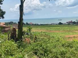 A picture of Land for sale in Entebbe