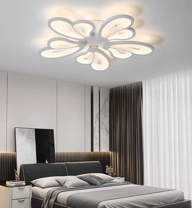 A picture of Ceiling lamp