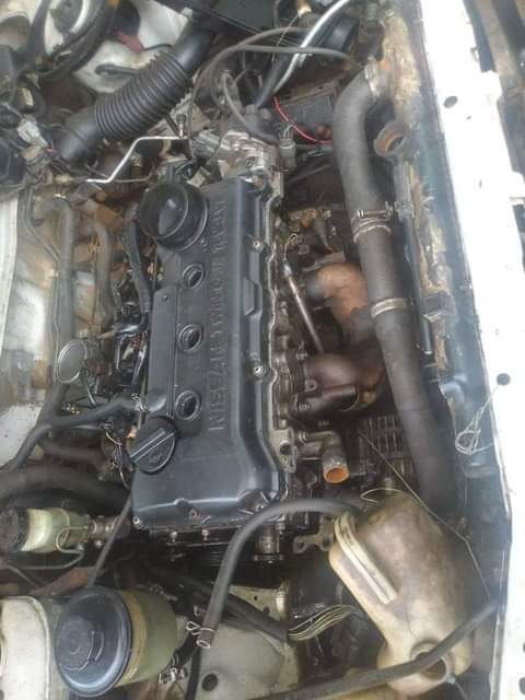 used nissan sunny