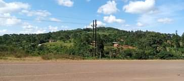 A picture of 30acres in NkokoNjeru each at 70m sold whole