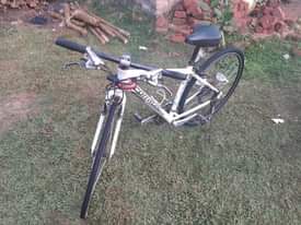 A picture of Spot bike