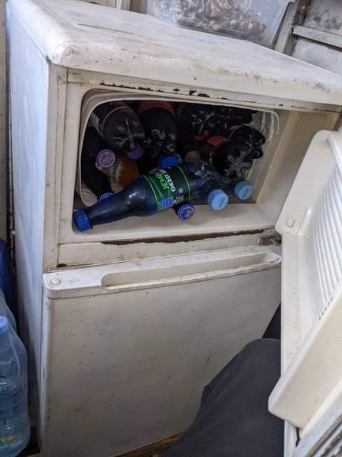 A picture of Fridge dogo
