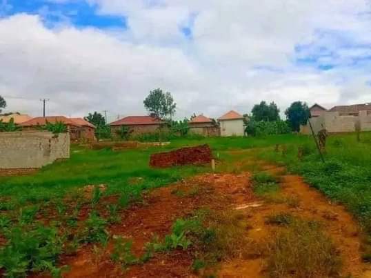 A picture of MATUGGA TOWN SITE