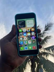 A picture of iPhone 7plain