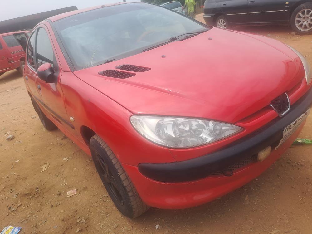 A picture of Peugeot 206 manual