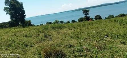 A picture of 100 acres of Beach land at BUIKWE