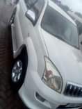 A picture of Tx Ronado