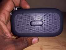 A picture of Oraimo palm