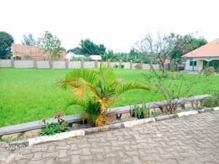 A picture of A country home for sale in buyaala after buloba just