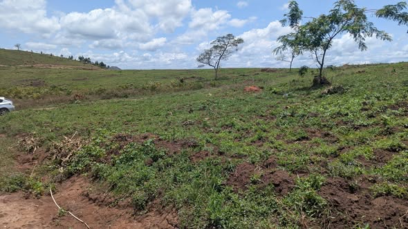 A picture of Land at 8M UGX ready title