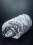 A picture of DUVET 0654977137