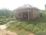 A picture of Shells house on sale 25m located at matugga 2bedroom sitting