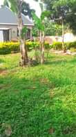 A picture of Nice plot for sale Price 5 7millions