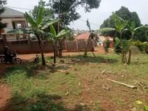 Ssemugooma R.
