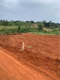 A picture of KIWENDA NABITALO