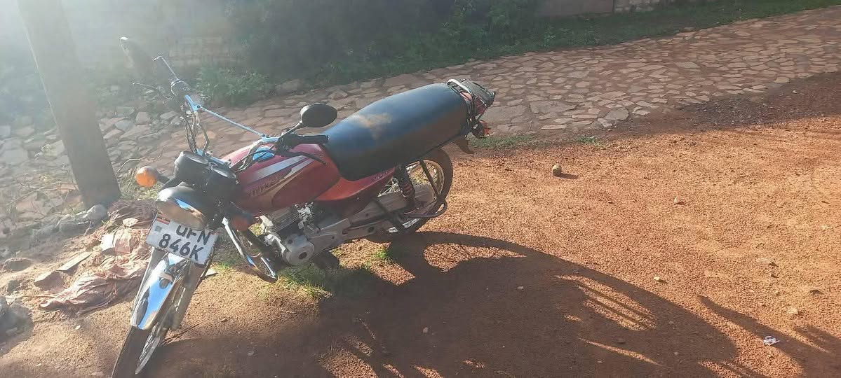 A picture of 2022 Bajaj boxer bm100