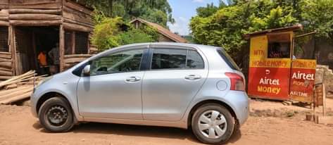 A picture of Vitz