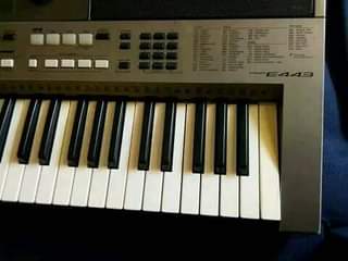 yamaha