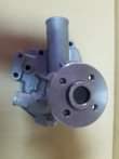 A picture of GENERATOR WATER PUMP
