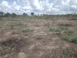 A picture of VINAUZWA LAKI 500 000