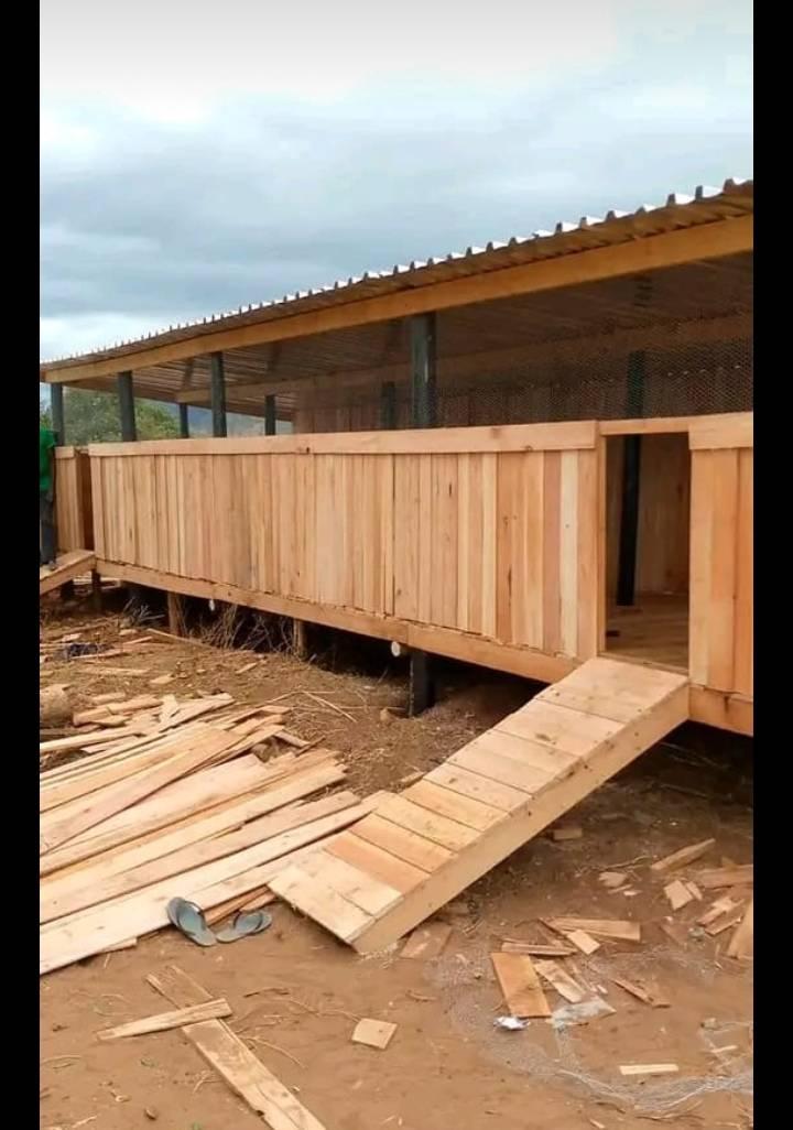 timber