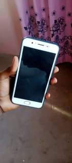 A picture of Simu