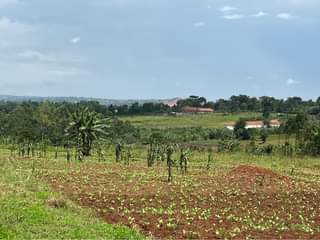 A picture of Plots at 15m Nakasajja kasenene