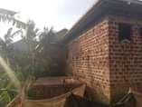 A picture of Three double units for sale at cheap price