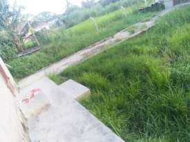 A picture of Nyumba.