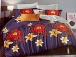 A picture of Quality 4pcs 6 6 Duvet sets