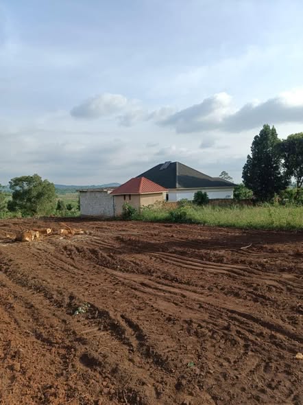 A picture of GAYAZA BUGEMA PRIME EXTENSION 100BY50FTS 25M 30M READY LANDTITLE