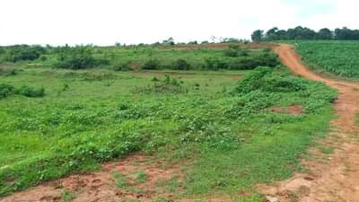 kinyinya accommodation