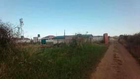 stands