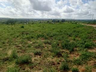 A picture of KIWANJA KINAUZWA KIBAMBA SHULE