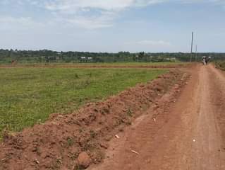 A picture of We sale plots