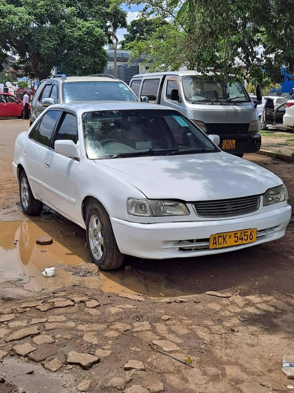 used toyota corolla