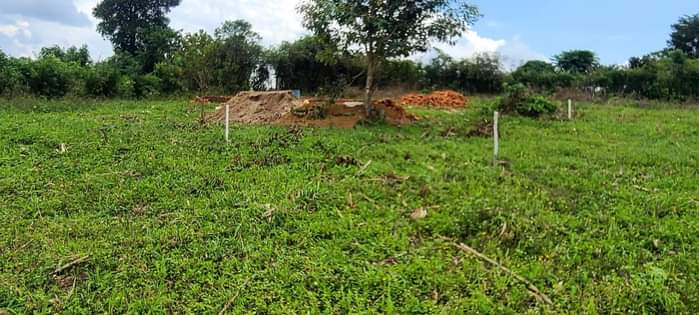 A picture of 0l709106274 0774591471l NAMAYUMBA KING MIClHOAL ESTATE 50X100FT 6MILLION
