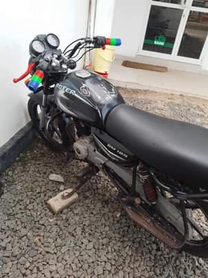 A picture of Boxer bm125HD