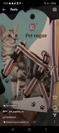 A picture of COLLARS FOR DOGS AND CATS